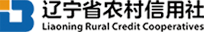 遼寧省農(nóng)村信用社聯(lián)合社：法人自助數(shù)據(jù)及業(yè)務(wù)分析集市建設(shè)