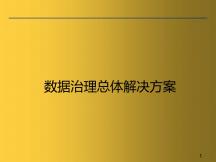 數據治理總體解決方案