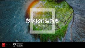 數(shù)字化轉(zhuǎn)型新思（2022）