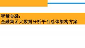 金融集團(tuán)大數(shù)據(jù)分析平臺總體架構(gòu)方案