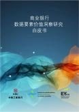 商業銀行數據要素價值洞察研究白皮書