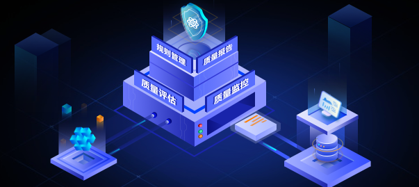 國(guó)內(nèi)數(shù)據(jù)質(zhì)量管理系統(tǒng)廠商介紹