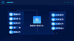 豐富的數(shù)據(jù)資產(chǎn)類型